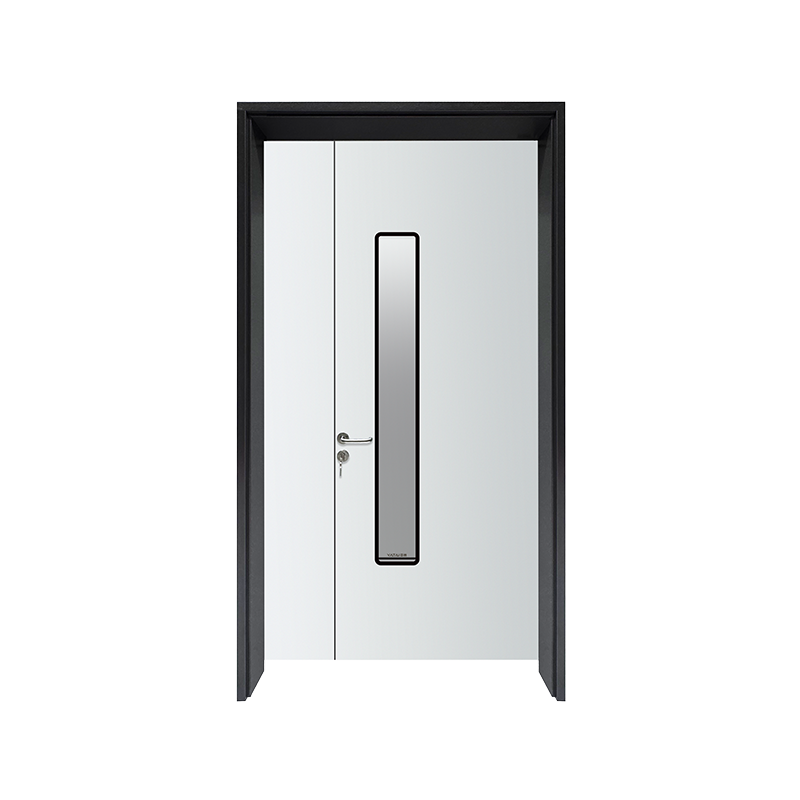 Hospital Ward Metal Doors